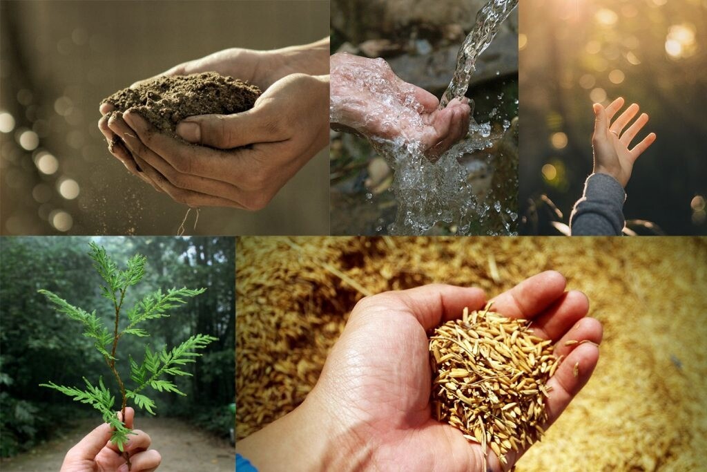 Մշտադիտարկման զեկույց․ համաչափ զարգացում